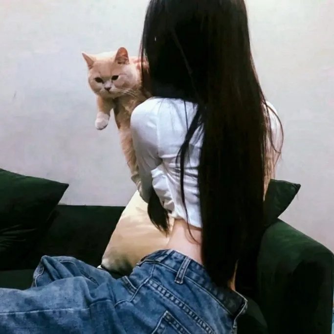 无法抗拒的爱